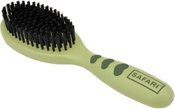 Coastal Safari Bristle Dog Brush - Gentle Grooming Brush for All Coat Types - Removes Dog Hair & Offers Natural Oil Distribution - Small