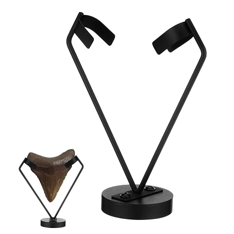Megalodon Tooth Display Metal Shark Tooth Holder with Detachable Base Black Display Easel Stand for Mineral Agate, Rocks Crystal, Gemstones, Fossils, Coral Geodes, Plate Photo Collectibles