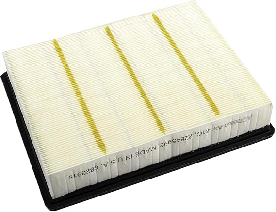 ACDelco GM Original Equipment A3181C (22845992) Air Filter