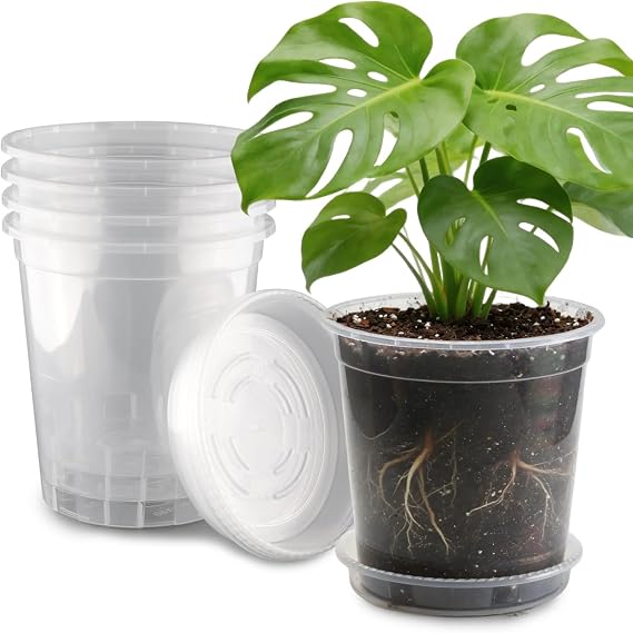 BTPLASTIK 2.5 Gallon Clear Nursery Pots with Saucers 5P, 10 Inch Round Plastic Plant Pots with Drainage Holes