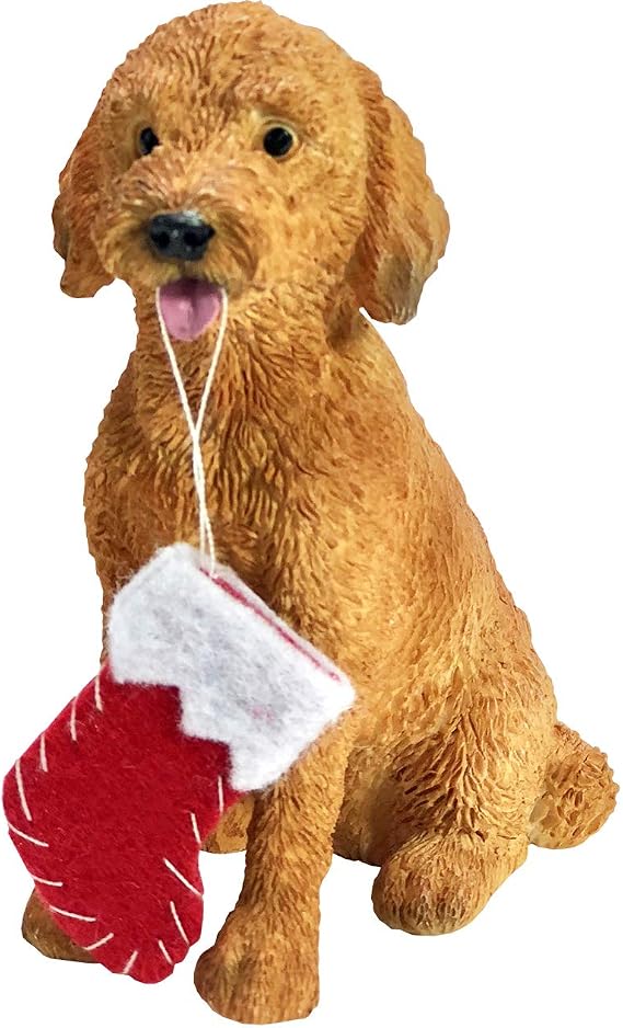 Sandicast Goldendoodle with Stocking, Resin ,Christmas Ornament, Multi Color (XSO24201)