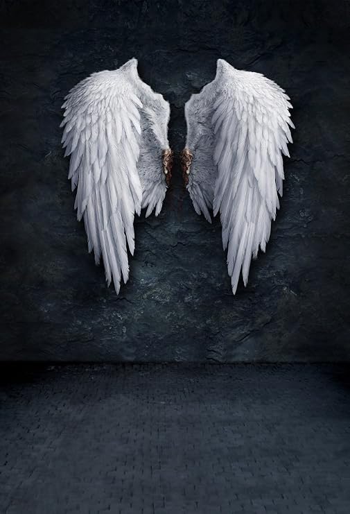 AOFOTO 3x5ft Angel Wings Backdrop Grunge Wall Photography Background Fashion Youngster Kid Girl Boy Adult Artistic Portrait Photo Shoot Studio Props Video Drop Wallpaper Drape
