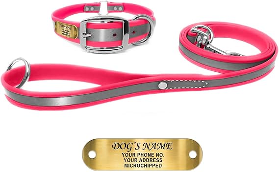 Regal Dog Products Reflective Collar & Leash, Nameplate, Medium Pink | Waterproof Biothane, Custom-Engraved Nameplate, Heavy-Duty Center Ring & D-Ring, Reflective Strip, Adjustable Fit