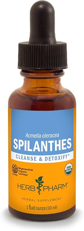 Herb Pharm Spilanthes Liquid Extract | Organic Spilanthes Tincture (Toothache Plant) | Herbal Detox & Cleansing Support | Rapid Absorption Drops | Non-GMO, Gluten Free | 1 fl oz