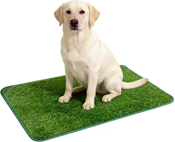 Artificial Grass Dog Toilet, Fake Grass Patch for Dogs with Realistic Turf Surface, Indoor Outdoor Potty Training Solution, Durable Grass Mat Measuring 46 by 58 cm