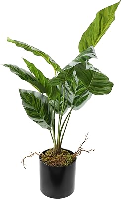 VOSAREA Artificial Arrowroot Bonsai Plant Lifelike Indoor Ornament for Home Office and Kitchen Decor Compact Design Easy Care Fake Plant for Greenery and Freshness