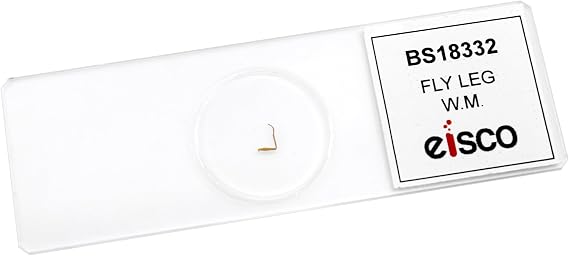 EISCO Fly Leg, W.M, Prepared Microscope Slide - 75 x 25mm - Biology & Microscopy