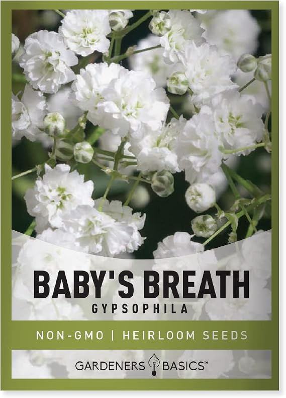 Gardeners Basics, Baby's Breath Seeds for Planting Gpsophila - Beautiful Annual Cut Flower for Flower Arrangements and Beautiful in Flower Beds in Summer Gardens Too