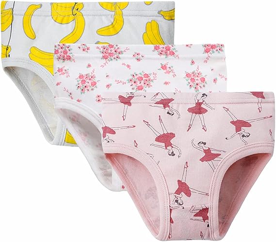 Little Girls 3 Pack Underwear Triangle Floral Underpants Toddler Baby Cartoon Pattern Briefs