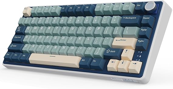 RK ROYAL KLUDGE R75 Wireless Mechanical Keyboard, 75% Percent Gaming Keyboard Gasket Mount Custom Keyboard US Layout RGB Backlit with Knob & PBT Keycaps, BT5.1/2.4GHz/USB-C, Hot Swappable Cream Switch