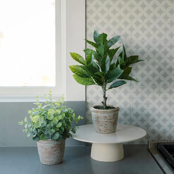 CG Hunter, Faux Eucalyptus & Citrus Topiary, Set of 2, Natural, Home Decor