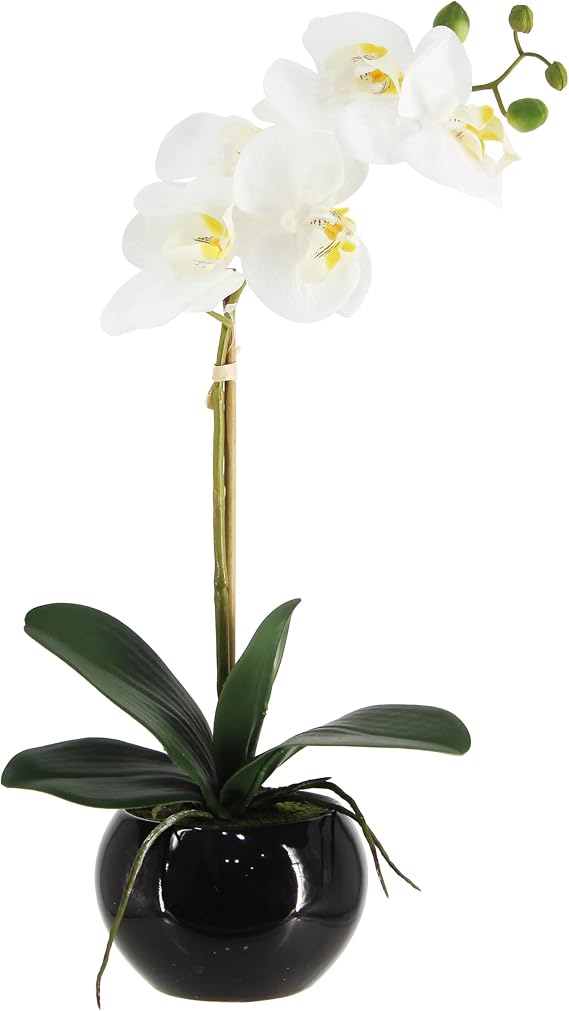 Orchids in Ceramic Pottery,Fake Orchid with Real Touch Stems, Faux Orchid Flowers for Artificial Flora Table Arrangement Centerpiece,Gift for Mom,Wife,Friends.Home & Office Decoration(16in White)