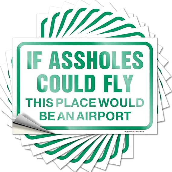Stickers for Car If Assholes Could Fly This Place Would Be an Airport Funny Sticker 10 Pcs Funny Signs for Home Decor Signs for Man Cave(8X12CM)
