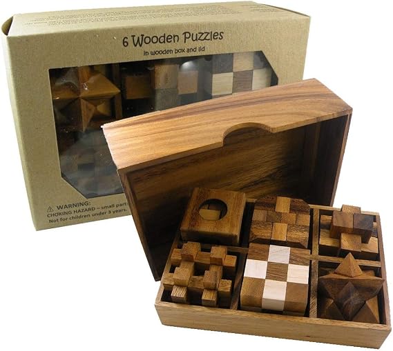 6 Wooden Puzzle Gift Set in A Wood Box - 3D Unique IQ Puzzles