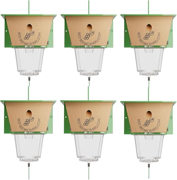Best Bee Brothers Ultimate Carpenter Bee Trap for Outside, 6 Pack