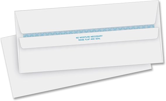 Business Source Regular Security Invoice Envelopes
