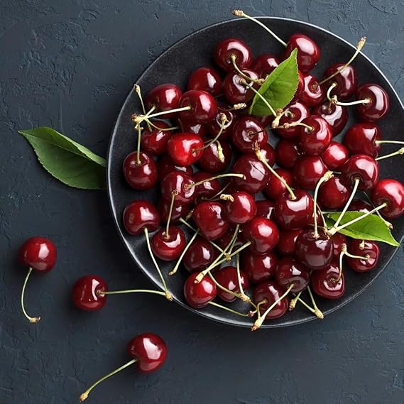 Brighter Blooms Bing Cherry Tree, 3-4 ft.