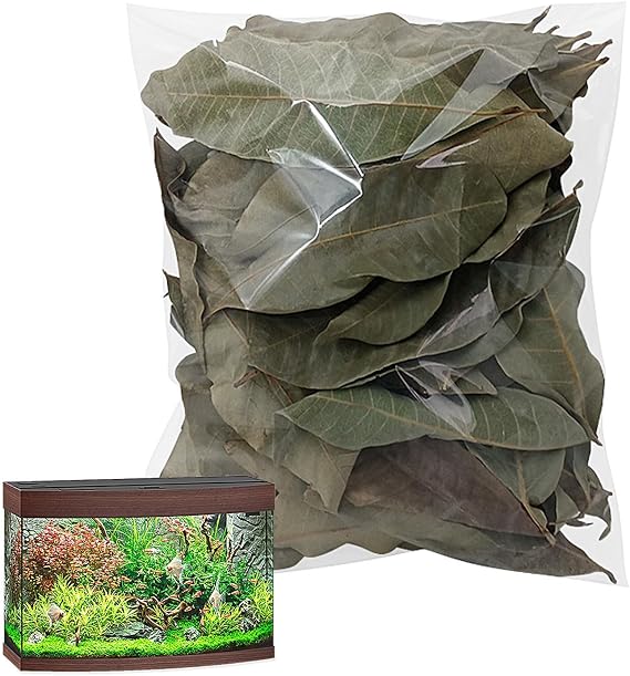 Reptile Leaves Natural Dry 50 Pieces Pet Supplies