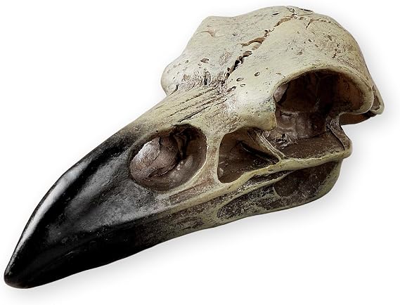 Halloween Raven Skull, Gothic Raven Decor Statue Animal Skull, Fake Bone Decor Crow Necklace Head Jewelry Pendant, Bird Skeleton Mask Crown, Witchy Gift for Men and Women (1 Pack)