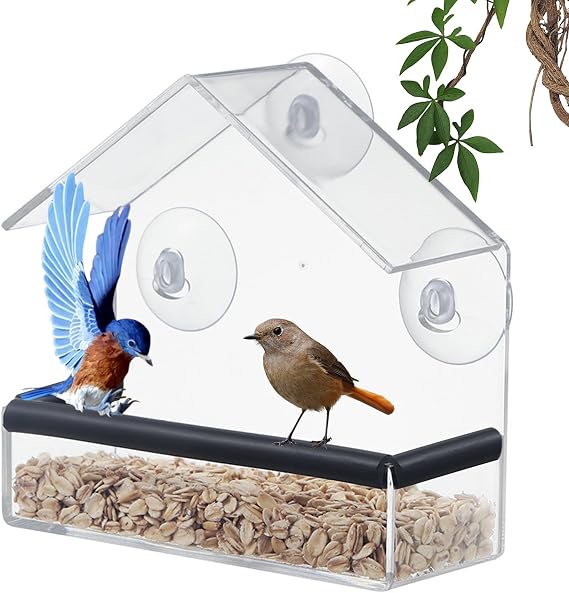 Shudyear Window Bird Feeder, Bird House for Outside with Rubber pad, Small Acrylic Window Bird Feeder with Strong Suction Cups and Drain Holes 5.9 * 2.36 * 5.91in