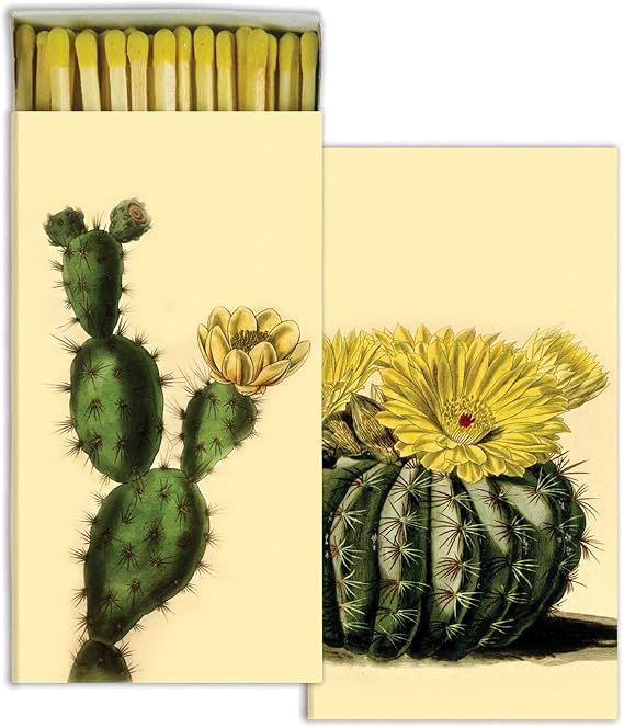 HomArt Cacti Match Box with Wooden Matches