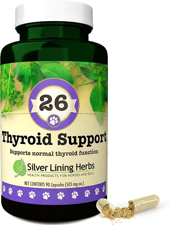 Silver Lining Herbs Thyroid Support for Dogs - 90 Capsules