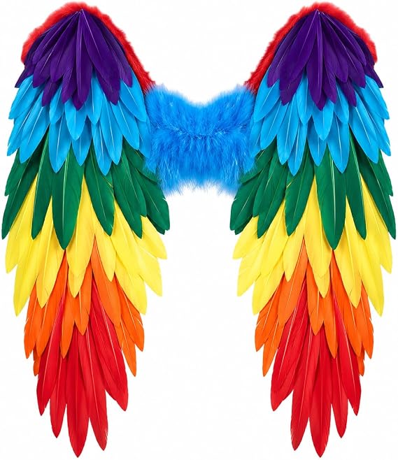 Rainbow Feather Wings Adult Pride Festival Fairy Bird Costume Cosplay Large
