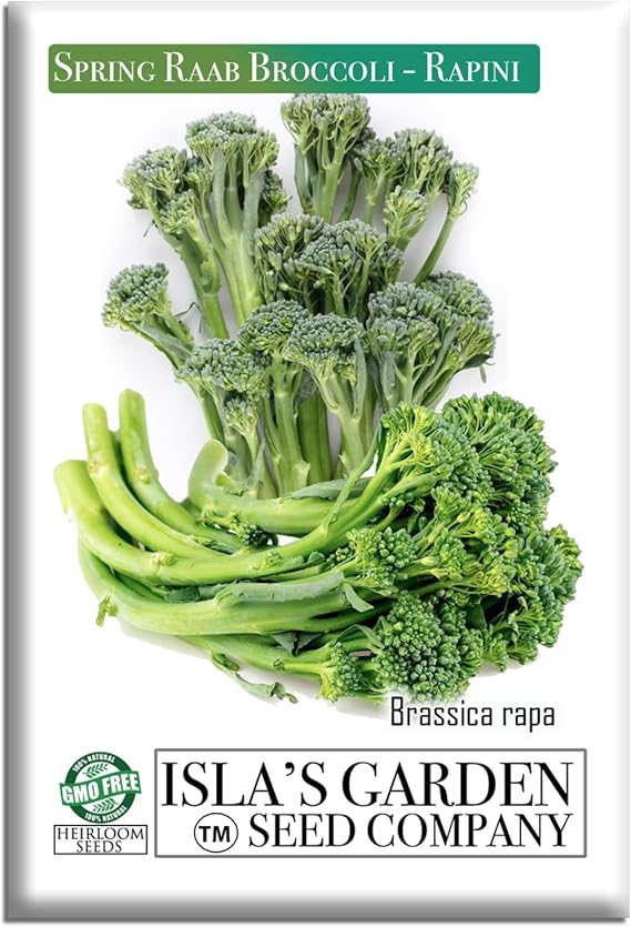 Spring Raab Broccoli Seeds (aka Rabe, Rapini, Broccolini) 300+ Non-GMO & Heirloom Seeds, Brassica oleracea, Fast-Maturing Cool Season Green, by Islas Garden Seeds, Gift Idea for Home Gardens