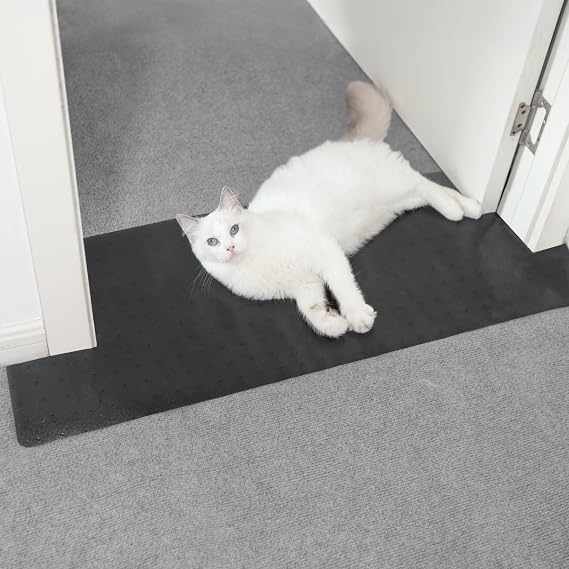 Oroonoko Carpet Protector for Pets-Plastic Carpet Protector, Black, 3.6FT