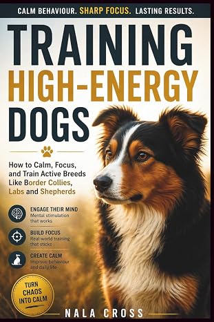 Training High-Energy Dogs: How to Calm, Focus, and Train Active Breeds Like Border Collies, Labs, and Shepherds