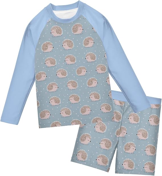 Cute Hedgehog Boys Rash Guard Set 2 Piece UP50+ Swim Set for Boys 3T-10T