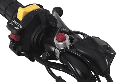 BikeMaster KillHorn Button