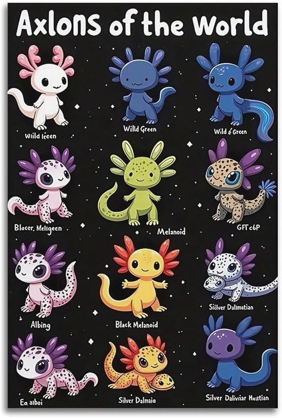 JHAMZPOSTER Animal Axolotl Poster Axolotl Morphs Poster Axolotl of The World Canvas Wall Art Aesthetic Decorative Painting Living Roomstyle 12x18inch(30x45cm)