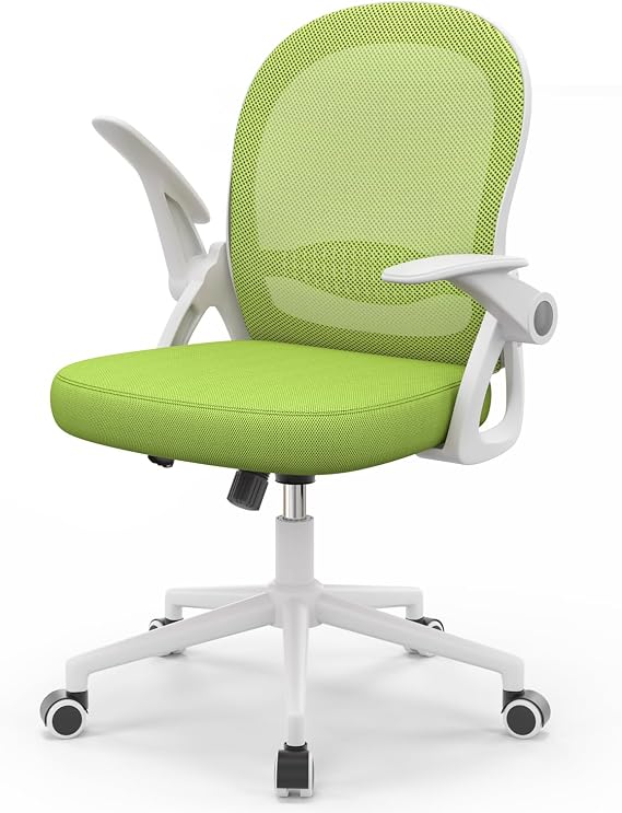 naspaluro Home Office Chair Ergonomic Desk Chair - Green