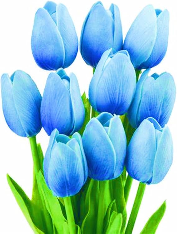 Surprise Gift Tulip Bulbs UK Tulip Bulbs Garden Flowers/Hardy Perennial/Wedding Flowers-5bulbs-d