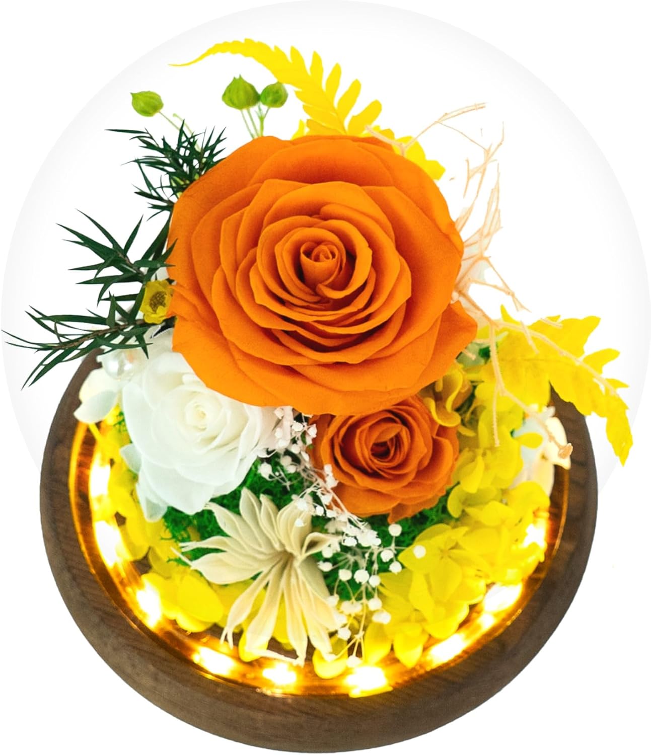 GLAMOUR BOUTIQUE Preserved Flowers Rose in Glass Dome wLight - Long Lasting Flowers, Flower Gifts for Women for Any Occasion - Home Decor,  wThick Gift Box - Glass Rose Flowers - Orange