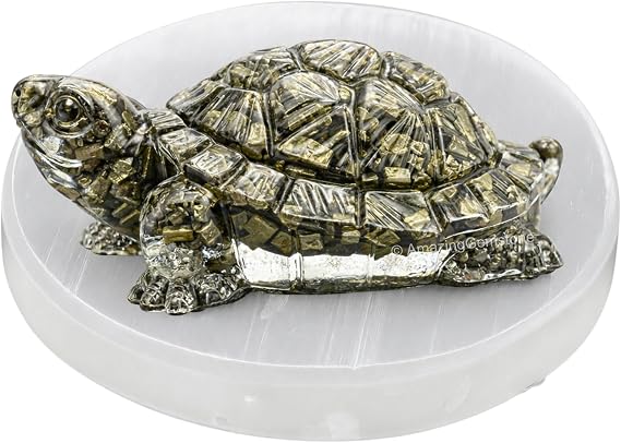 Amazing Gemstone Natural Pyrite Crystal Tortoise with Selenite Plate