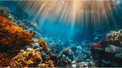 Aquarium Background, Fish Tank Poster PVC, Ocean Fish Tank Background, Terrarium Background 30 x 16 inches