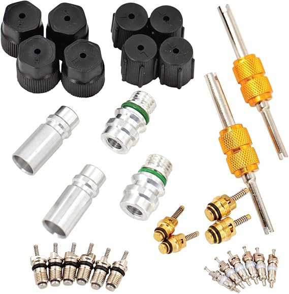 Air Conditioning Valve Core Kit [30 Pcs] | for R12 or R134a | with Seal Caps for A/C Refrigeration & AC Service Valves | Car & HVAC AC System Charging Port Kit
