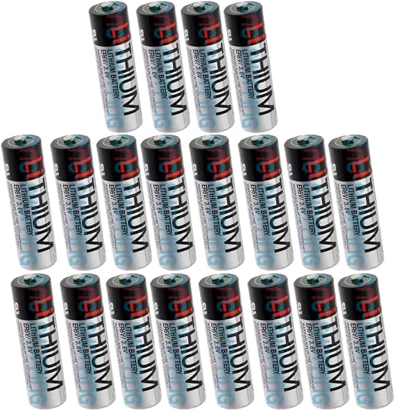 YICUAA 20Pcs ER6V/3.6V Lithium PLC Battery 2400MAH