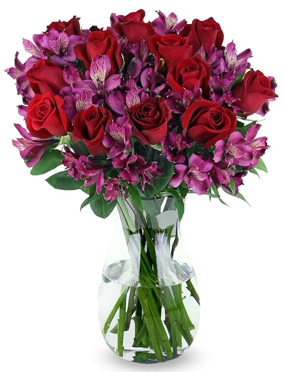 Benchmark Bouquets - Stunning Roses & Alstroemeria (Glass Vase Included) - Fresh Flowers for Delivery - Gift for Graduation, Birthday, Anniversary, Sympathy, Get Well, Congratulations