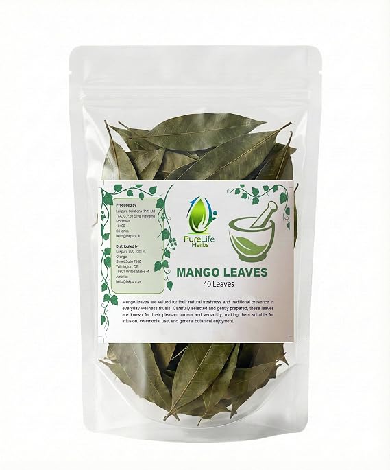 Mango leaves-40lvs/Purelife herbs/Hoja