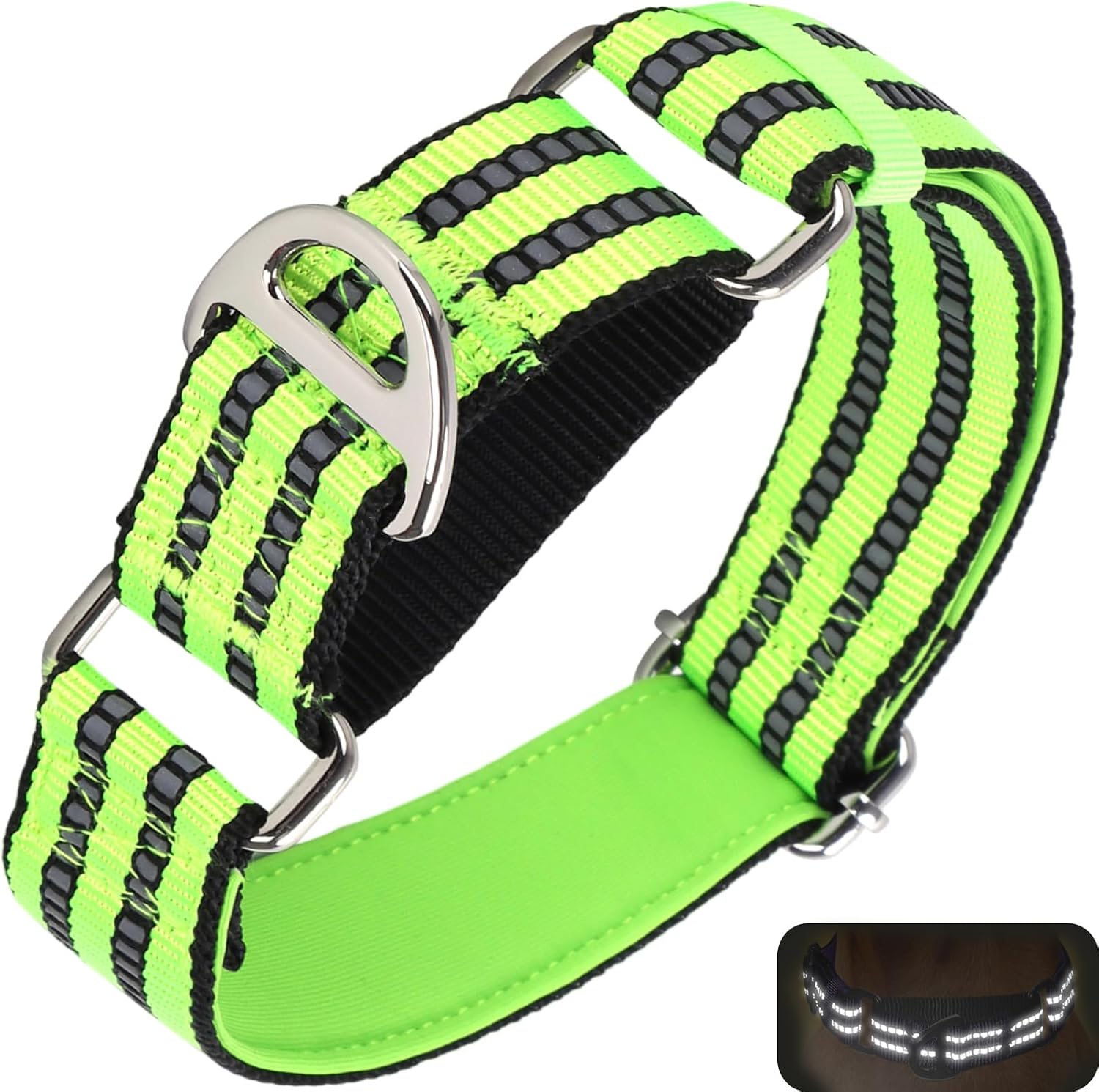 Martingale Dog Collar for Dogs, Reflective Heavy Duty Adjustable Collar with No Buckle, No Slip Collar for Girl or Boy Dogs Training, Walking, Hunting Green M