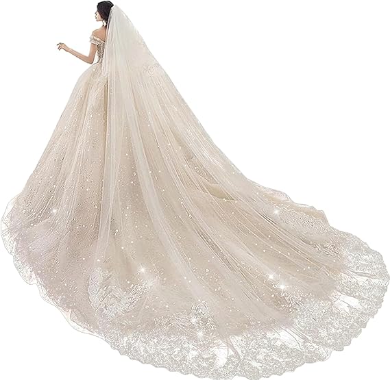 Wedding Veils Cathedral Length 2 Tier Long Sequins Lace Edge Blusher with Comb