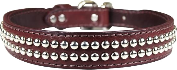 Dome Studded Latigo Leather Dog Collar, Burgundy, 1.25" x 25"