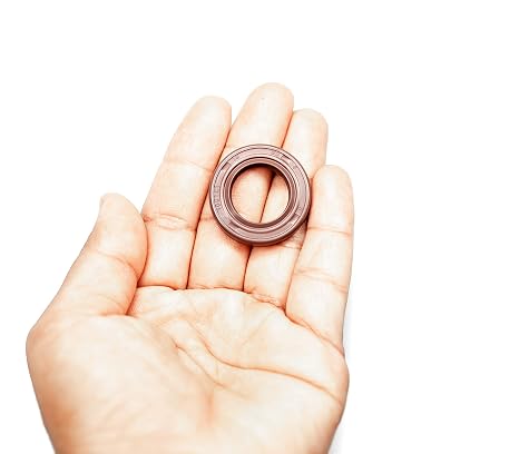 EAI 18mm x 30mm x 6mm FPM/FKM TC Double Lip w/Stainless Steel Spring Oil Seal. Comp. /w Viton Shaft Seal