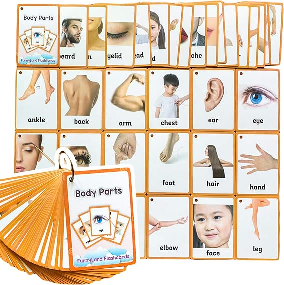 34PCS/Set Body Parts Kids Gifts English Flash Cards Pocket Card Educational Learning Baby Toys for Children Pre-Kindergarten