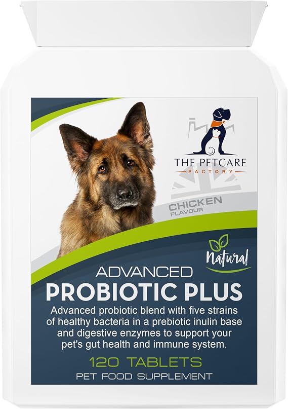 Advanced Probiotic Plus for Dogs, 120 Tablets, UK Made | Five probiotic strains delivering 2 billion CFU per tablet, with prebiotic inulin and blend of 6 digestive enzymes.