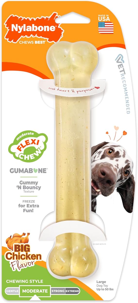 Nylabone Flexi Chew Gumabone Dog Chew Toy, Chicken Flavor, Large