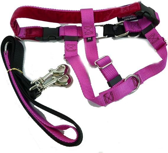 2 Hounds Freedom No Pull Harness and Leash Training Kit Raspberry X-Large